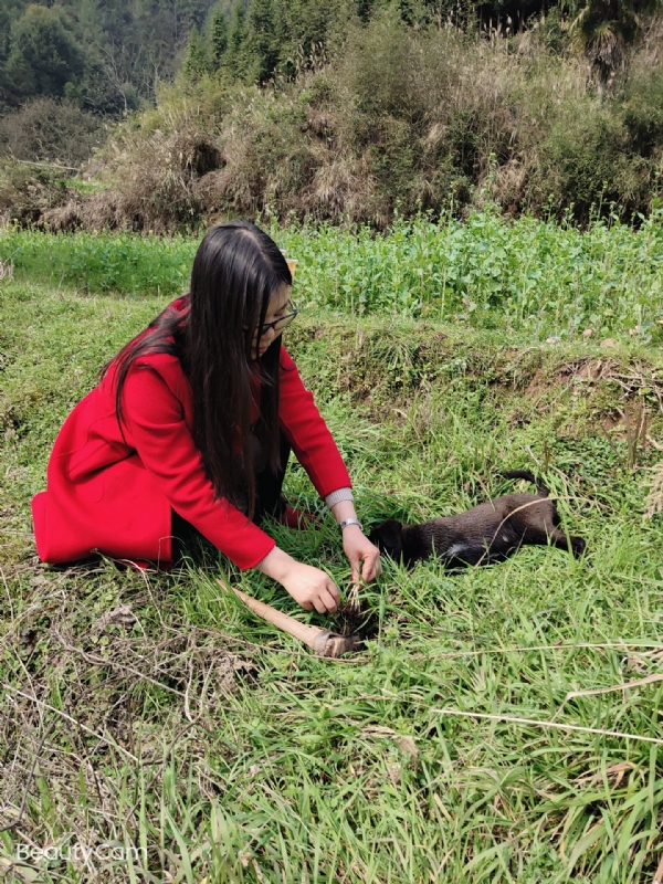 下一个春和秋的第一张照片--湖北认干亲服务网