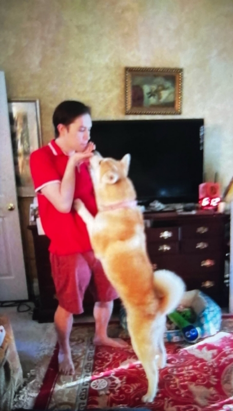 Leluch的第一张照片--湖北认干亲服务网