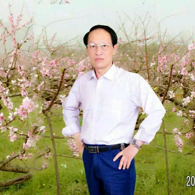 枫叶的第一张照片--湖北认干亲服务网